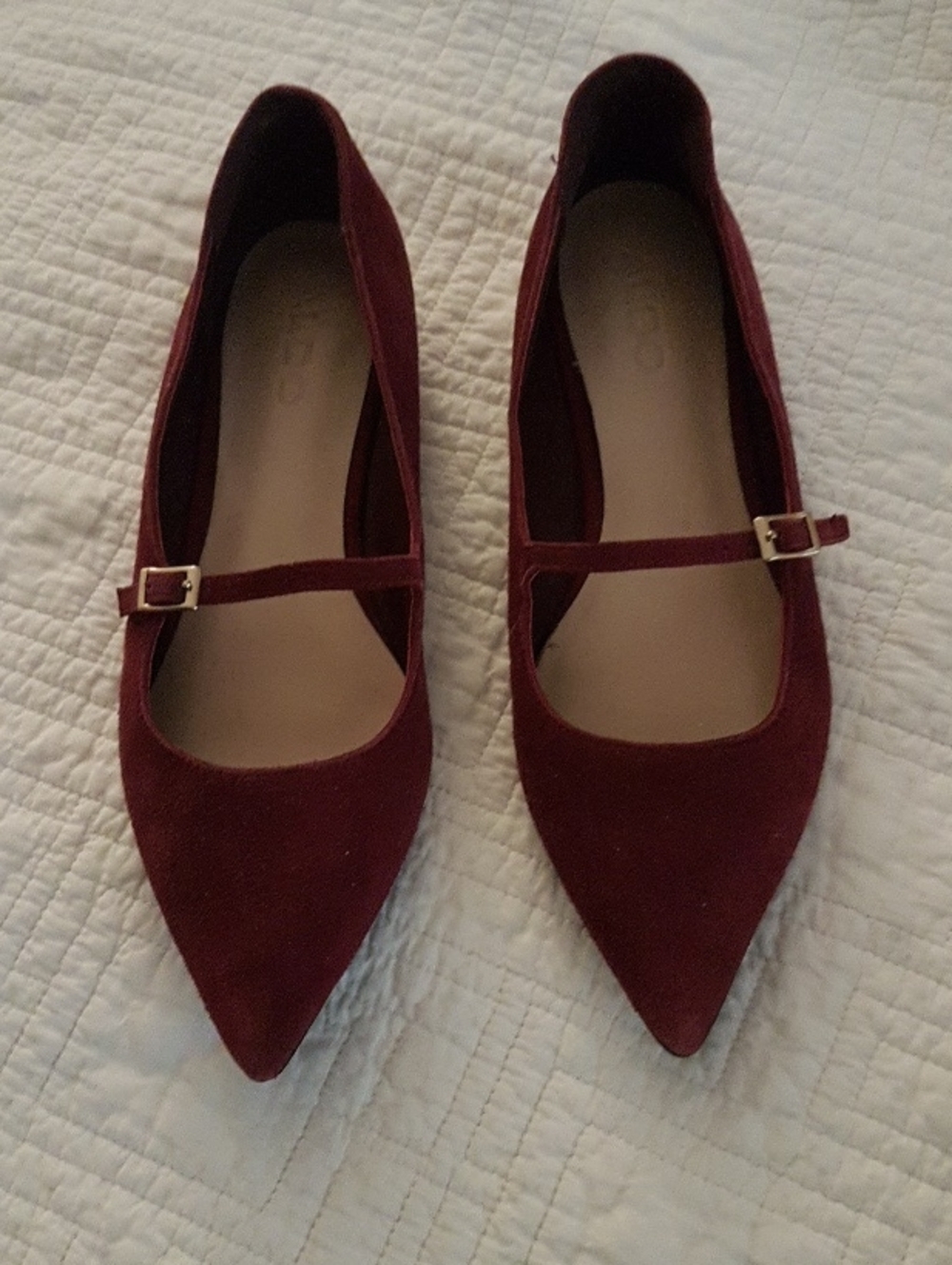 ALDO Pointed Mary Jane Flats in Burgundy Suede